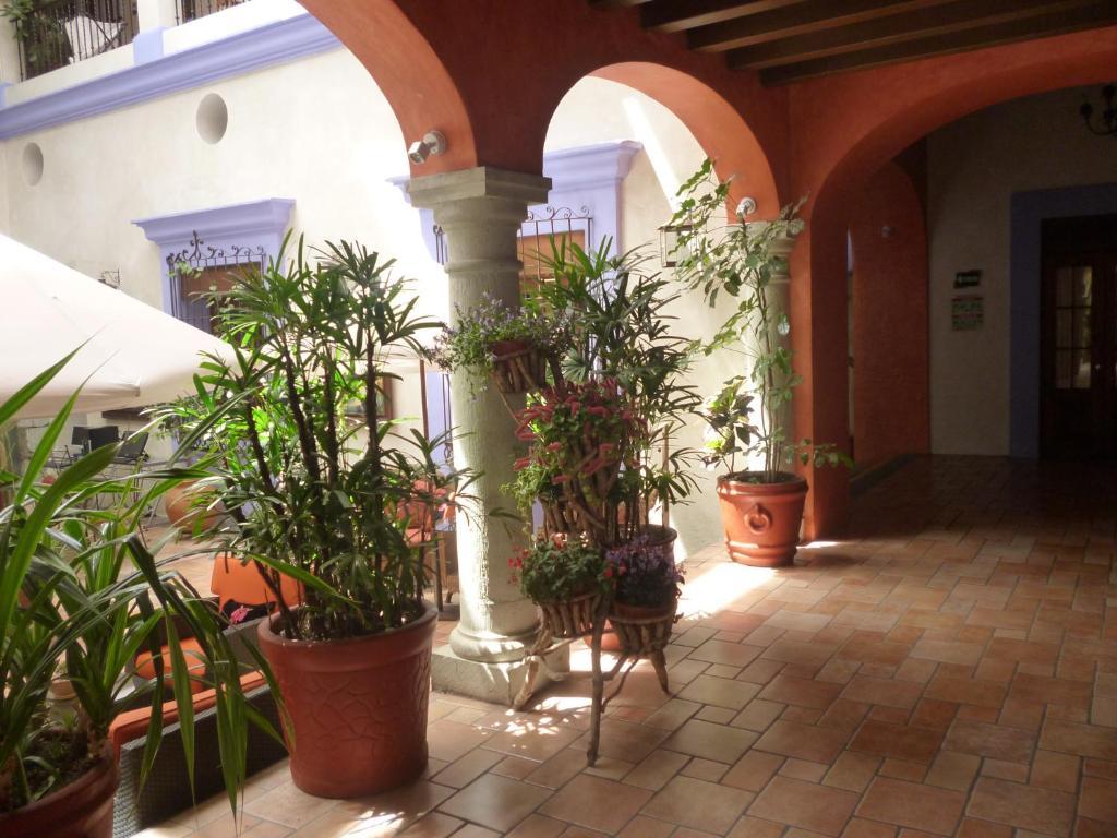 Hotel Trébol Oaxaca Chambre photo